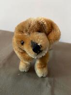 Steiff teckel Bazi, 1310, Ophalen of Verzenden, Zo goed als nieuw, Stoffen beer, Steiff