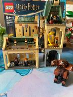 Lego Harry Potter 76387, Kinderen en Baby's, Speelgoed | Duplo en Lego, Ophalen of Verzenden, Zo goed als nieuw