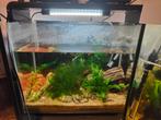 Aquarium Superfish home 40, Dieren en Toebehoren, Vissen | Aquaria en Toebehoren, Gebruikt, Ophalen, Leeg aquarium