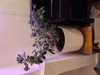 plant, Huis en Inrichting, Woonaccessoires | Zuilen en Pilaren, Ophalen, Gebruikt