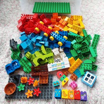 Lego Duplo lot stenen grondplaten div onderdelen doos vol  beschikbaar voor biedingen