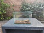 Glazen terrarium 40x28,5x21 cm met schuifdeur & ventilatie, Ophalen, Zo goed als nieuw, Terrarium of Paludarium