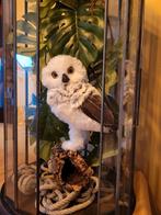 Harry Potter Hedwig in grote glazen kooi decoratie, Ophalen, Zo goed als nieuw, Overige typen