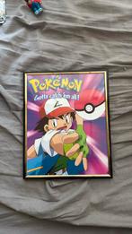 Pokemon, Ophalen of Verzenden, Zo goed als nieuw, Verhaal of Sprookje