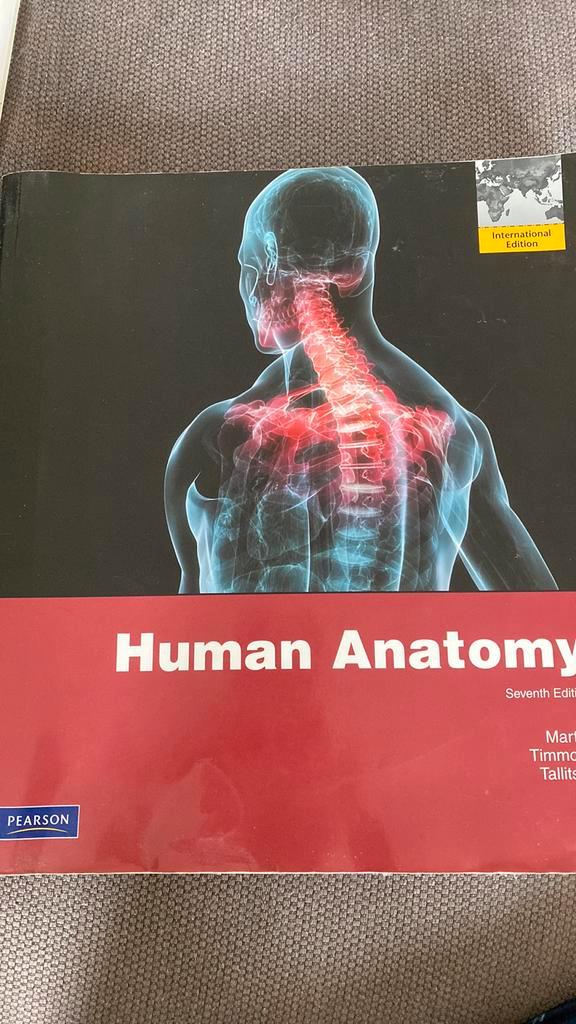 Human Anatomy Martini Timmons Tallisch seventh edition, Boeken, Studieboeken en Cursussen, Gelezen, WO, Beta, Ophalen of Verzenden