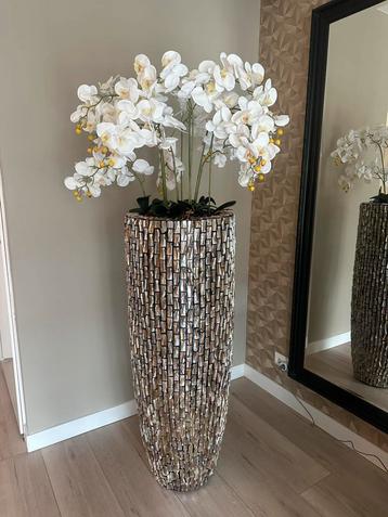 Schelpenvaas 122cm beschikbaar voor biedingen