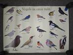 Poster vogels in onze tuin, Ophalen, Natuur en Biologie