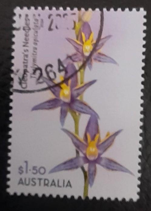 AUSTRALIE 2025 :  NATIVE ORCHID SHEET, Postzegels en Munten, Postzegels | Oceanië, Ophalen of Verzenden