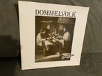 Dommelvolk - ptazzie vinyl [620], Cd's en Dvd's, Ophalen of Verzenden, Zo goed als nieuw, 12 inch, Levenslied of Smartlap