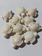 Crème schildpad stenen kralen 16 mm, Nieuw, Kraal, Verzenden