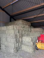 Kleine baaltjes hooi, Dieren en Toebehoren, Dierenvoeding, Ophalen, Vee