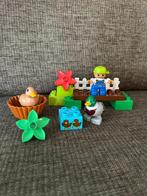 LEGO Duplo 10581 Eenden – 2 complete sets, Ophalen of Verzenden, Zo goed als nieuw, Complete set, Duplo