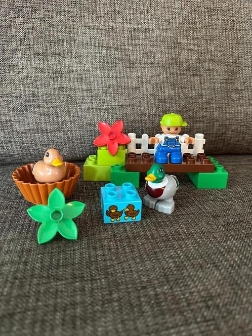 LEGO Duplo 10581 Eenden – 2 complete sets, Kinderen en Baby's, Speelgoed | Duplo en Lego, Zo goed als nieuw, Duplo, Complete set