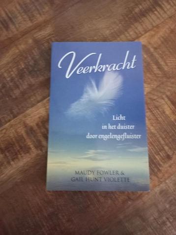 Veerkracht door Maudy Fowler beschikbaar voor biedingen