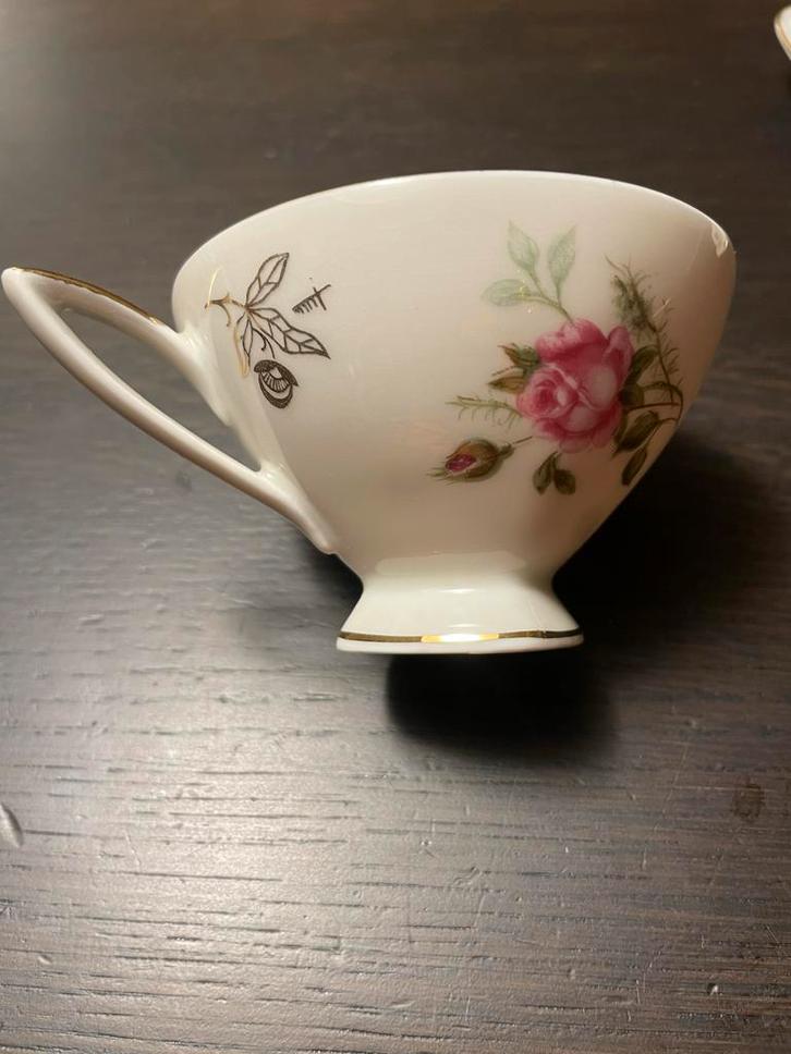 Vintage Alka Bavaria Kop en Schotel Roos Design, Antiek en Kunst, Antiek | Porselein, Ophalen of Verzenden