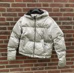 Amy & Ivy / Jas / Maat XS / 34 / Weinig gedragen, Overige kleuren, Ophalen of Verzenden, Maat 34 (XS) of kleiner, Amy & Ivy