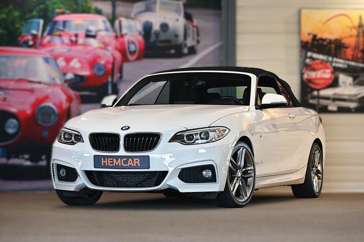 BMW 2 Serie Cabrio 218i Luxury (bj 2015), Auto's, BMW, Particulier, Te koop, 2-Serie, ABS, Airbags, Airconditioning, Alarm, Bluetooth