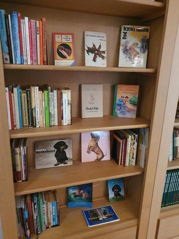 Heel veel leuke Teckelboeken te koop beschikbaar voor biedingen