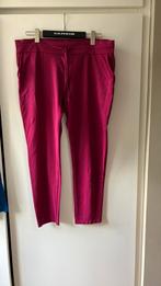 Luca Milano. Purperpaarse broek. Maat XL/XXL, Made in Italy, Maat 46/48 (XL) of groter, Ophalen of Verzenden, Zo goed als nieuw