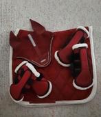 Bordeau Horsegloss oornetje br dekje flextrainers full, Dieren en Toebehoren, Ophalen of Verzenden, Zo goed als nieuw