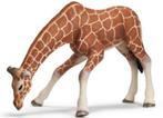 Schleich 14390 giraffe, dierfiguur, Verzenden, Zo goed als nieuw, Overige soorten, Beeldje of Figuurtje