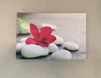 canvas frangipani, Ophalen, Zo goed als nieuw, Foto of Poster