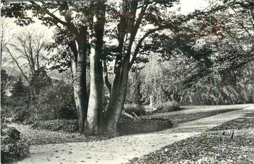 (381-025-023) Leiden Botanicus beschikbaar voor biedingen