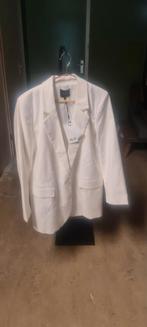 Nieuwe witte blazer van Alix The Label, Alix the label, Wit, Nieuw, Ophalen of Verzenden