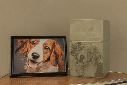 100% Natuurlijke dieren-urn GRÁTIS VERZENDING!, Dieren en Toebehoren, Honden-accessoires, Nieuw, Ophalen of Verzenden