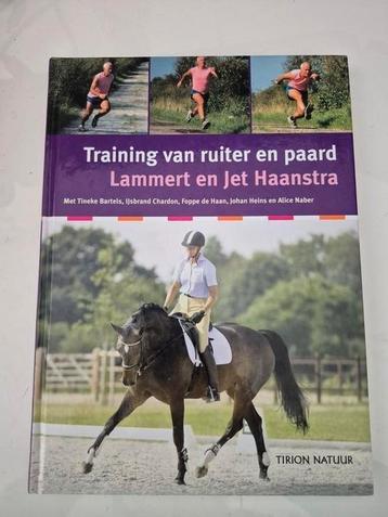 Jet Haanstra - Training van ruiter en paard beschikbaar voor biedingen