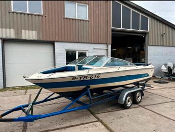 Searay speedboot V8 339pk! beschikbaar voor biedingen