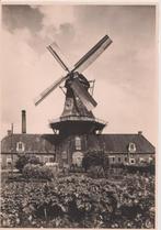 Roderwolde; Briefkaart met oliemolen - niet gelopen. 10x15!, Verzenden, Ongelopen, Drenthe