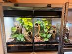 Exo Terra terrarium 45x45x60 inclusief bijpassende lichtkap, Ophalen, Zo goed als nieuw, Terrarium of Paludarium