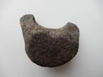 Walviswervel uit het Tertiair Mioceen., Fossiel, Verzenden
