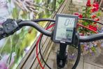 ebike batavus bryte ego N8 53 cm, Versnellingen, Ophalen of Verzenden, Batavus., 53 tot 56 cm
