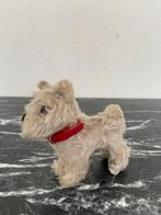 Steiff hond met knop14 cm, Ophalen of Verzenden