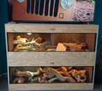 NIEUW ‼️ TERRARIUM OSB ( verschillende maten ), Dieren en Toebehoren, Reptielen en Amfibieën | Toebehoren, Ophalen, Nieuw, Terrarium of Paludarium