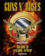 Guns n’ Roses ticket Afas Dome, Eén persoon