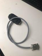 Postduiven unikon t-stuk, Meerdere dieren, Postduif