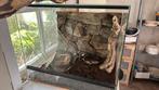 Terrarium, Ophalen, Gebruikt