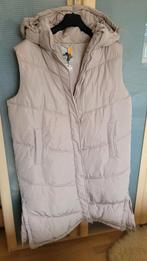 Nieuwe winter jas zonder mouwen, Beige, Maat 46/48 (XL) of groter, Nieuw, Ophalen of Verzenden