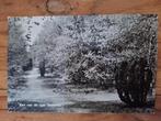 Fotokaart Grolloo - De Berenkuil - 1964, Ophalen of Verzenden, 1960 tot 1980, Gelopen, Drenthe