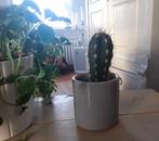 Grijs potje - ook binnenzijde geglazuurd - cactuspotje - pen, Ophalen of Verzenden, Zo goed als nieuw
