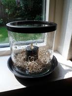 Bubbelglas windlicht /bubbles, Overige materialen, Ophalen of Verzenden, Zo goed als nieuw, Kandelaar