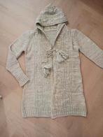 vest met capuchon - Valt als L, Verzenden, Zo goed als nieuw, Maat 42/44 (L)