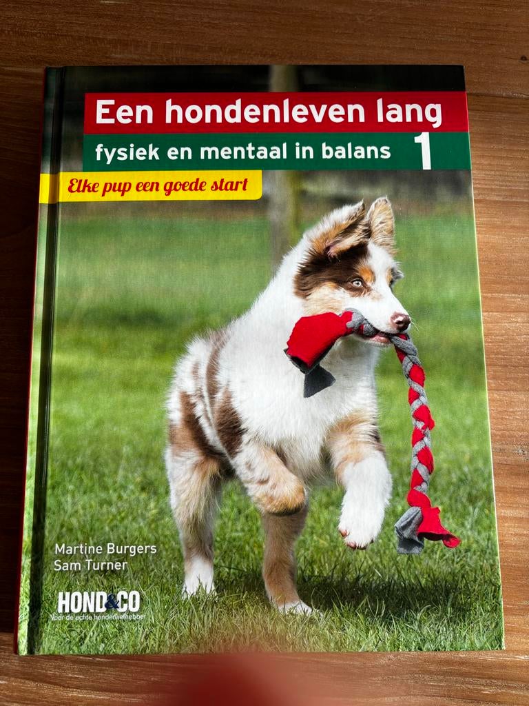 Martine Burgers - Elke pup een goede start, Boeken, Dieren en Huisdieren, Honden, Ophalen of Verzenden, Zo goed als nieuw, Martine Burgers; Sam Turner