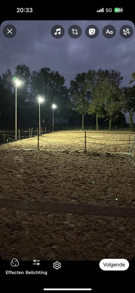 Gezellige stal heeft plek vrij, Dieren en Toebehoren, Stalling en Weidegang, Stalling