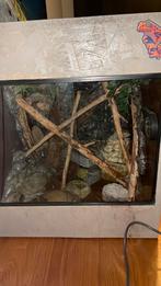Terrarium + inrichting, Dieren en Toebehoren, Reptielen en Amfibieën | Toebehoren, Ophalen, Zo goed als nieuw