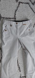 Mooie wedstrijdbroek maat 38, Dieren en Toebehoren, Paardrijkleding, Ophalen of Verzenden, Dressuur, Schoeisel