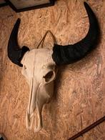 Bison skull decoratie industrieel, Huis en Inrichting, Nieuw, Ophalen of Verzenden